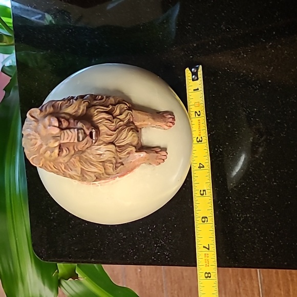 🦁Lion Soapstone Orb - Picture 9 of 10